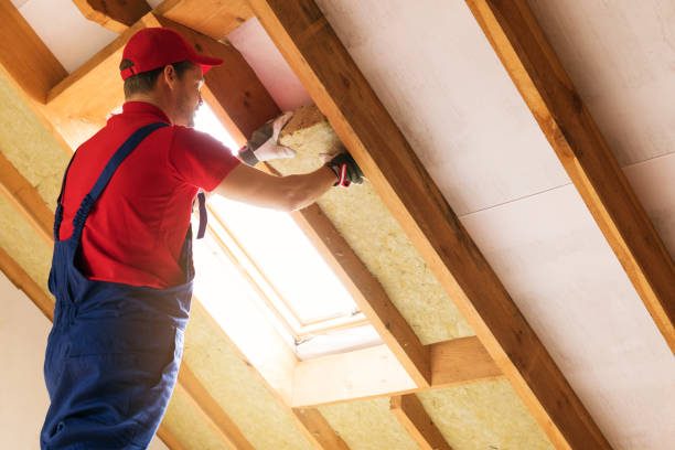 Types of Insulation We Offer in Rosedale, MD